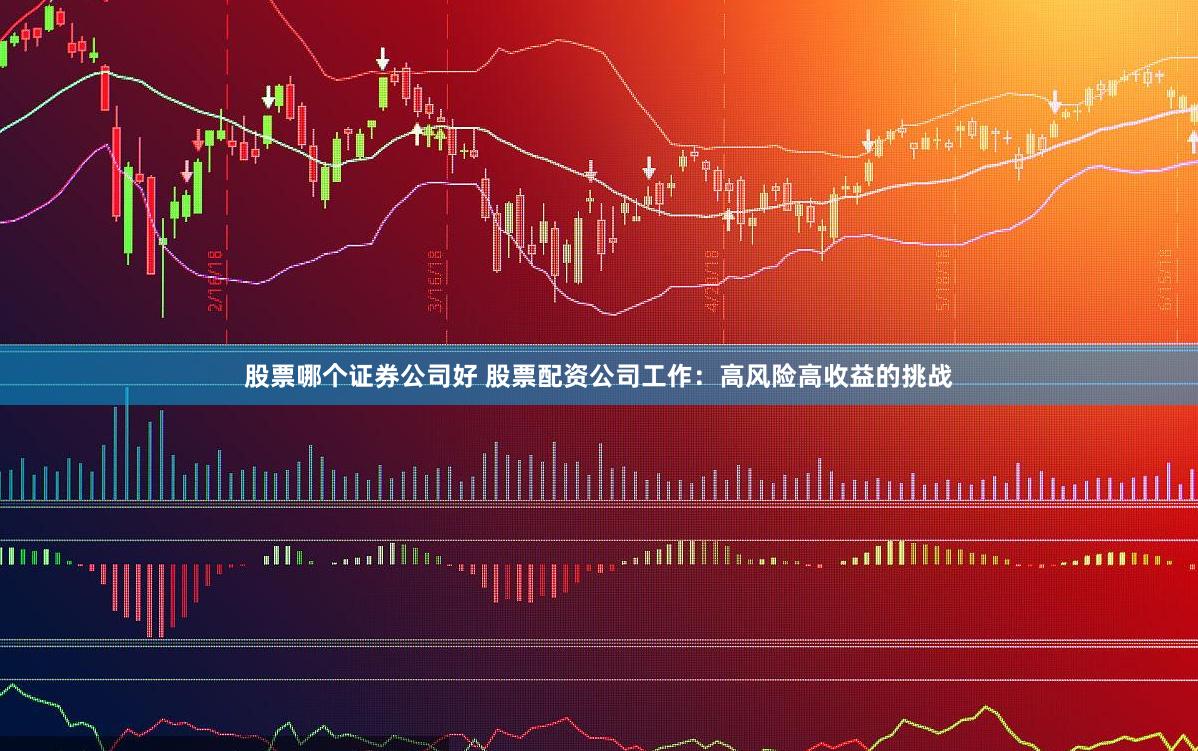 股票哪个证券公司好 股票配资公司工作：高风险高收益的挑战