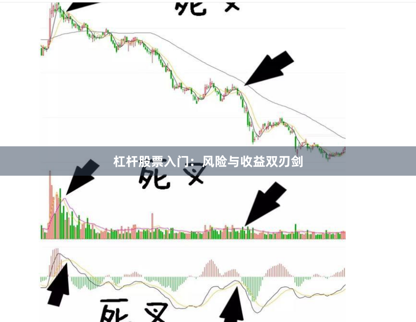 杠杆股票入门：风险与收益双刃剑
