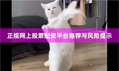正规网上股票配资平台推荐与风险提示