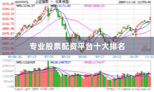 专业股票配资平台十大排名